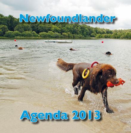 NFagenda2013_v31.jpg