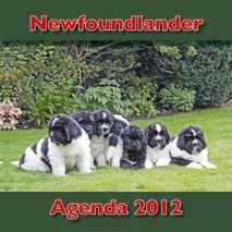 Newfagenda2012omslagKL1.jpg